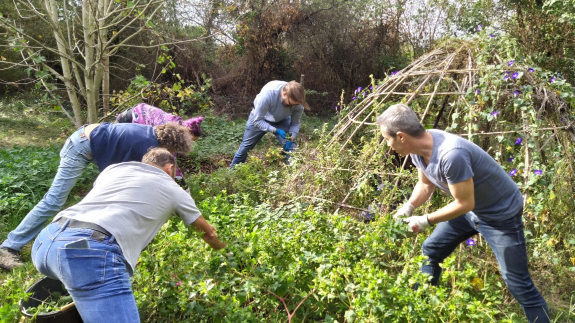 Commencer une production en Permaculture (5 jours)