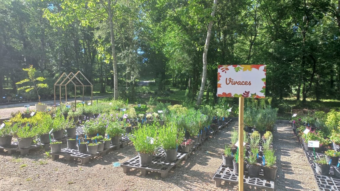 Le Jardin de Cassandre