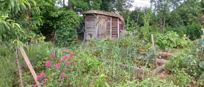 20240522_133152-scaled-700x300