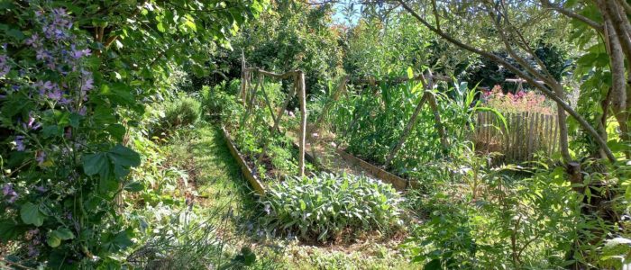 20240625_180721-scaled-700x300