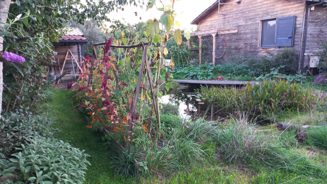 La gestion de l’eau sur un lieu (1jour)
