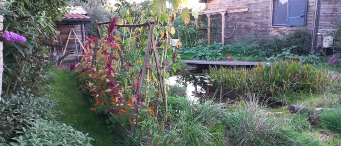 20250926_192027-scaled-700x300