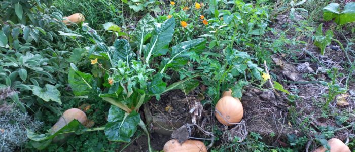 20251030_170020-scaled-700x300