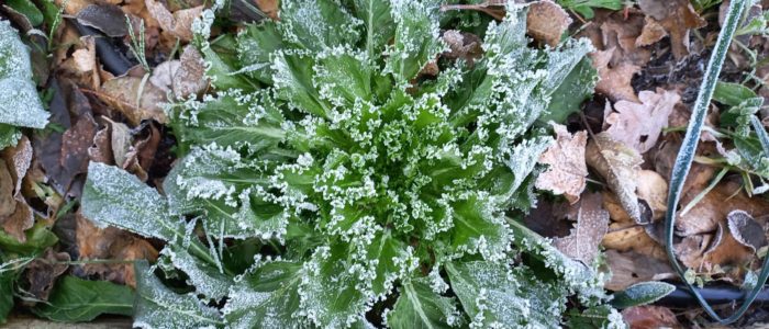 20260106_105420-scaled-700x300